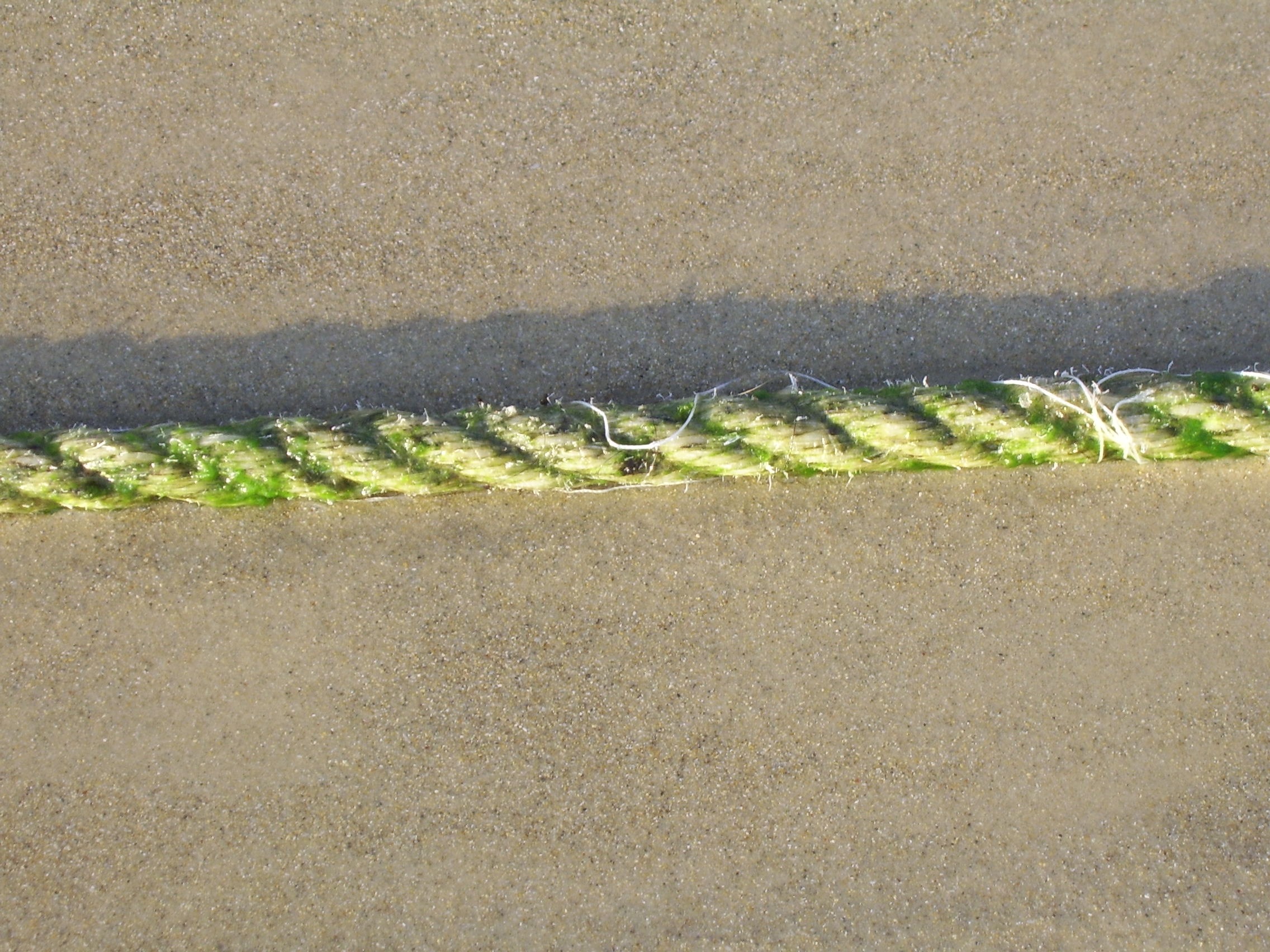 rope_beach_bond